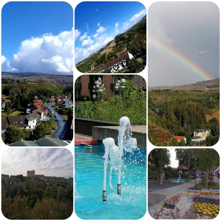 Crisand 3 Panoramic Altenau  Luaran gambar